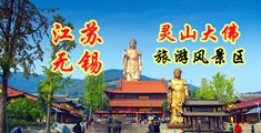 大鸡巴操骚bb视频江苏无锡灵山大佛旅游风景区